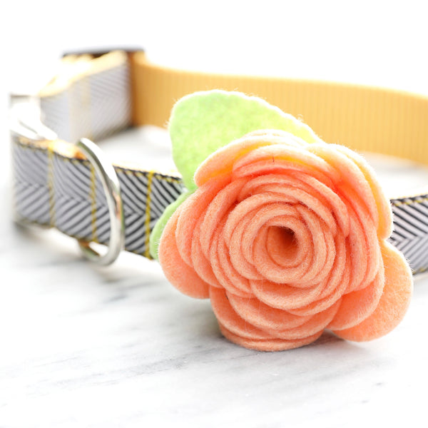 Mimi Green - Rose Dog Collar Flower