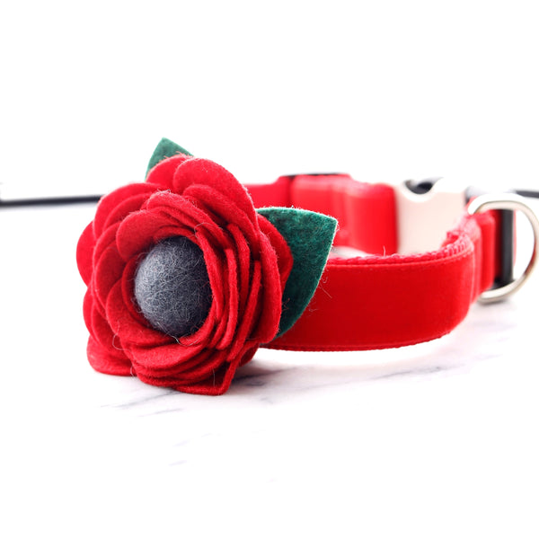 Mimi Green - Poppy Dog Collar Flower