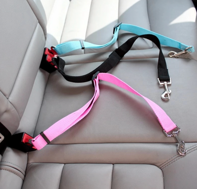 Seat Belt Leash Multi-Color