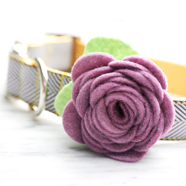 Mimi Green - Rose Dog Collar Flower