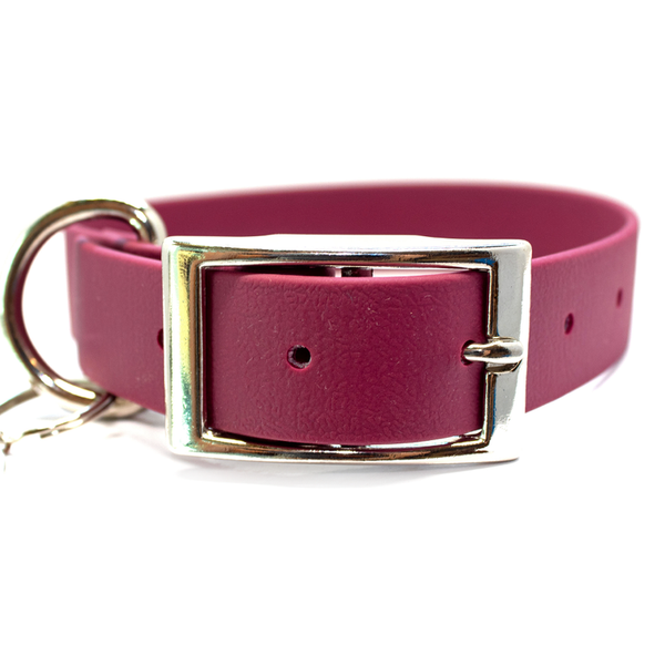 Luck of Tuck - Waterproof Dog Collar